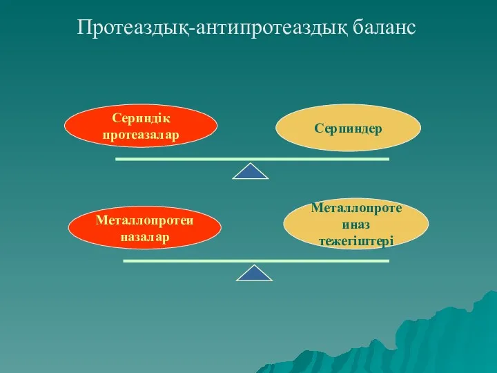 Протеаздық-антипротеаздық баланс Металлопротеиназ тежегіштері Металлопротеиназалар Серпиндер Сериндік протеазалар