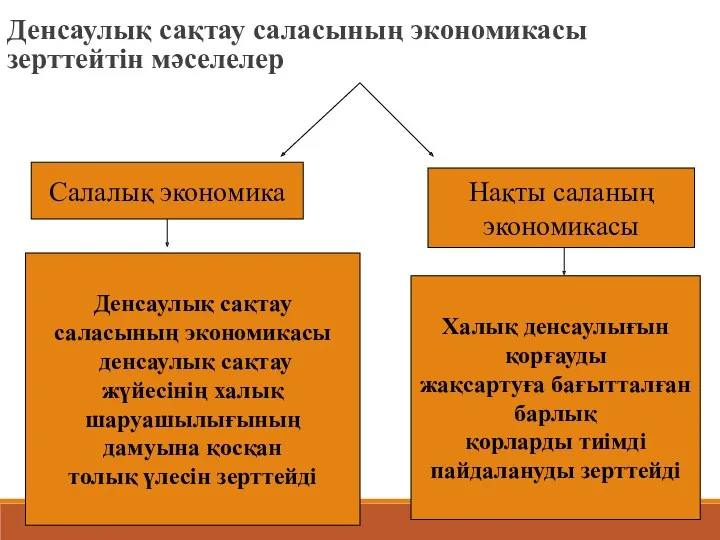 Денсаулық сақтау саласының экономикасы зерттейтін мәселелер Салалық экономика Нақты саланың