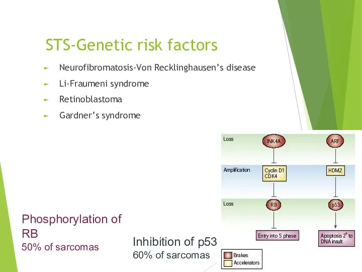 STS-Genetic risk factors Neurofibromatosis-Von Recklinghausen’s disease Li-Fraumeni syndrome Retinoblastoma Gardner’s