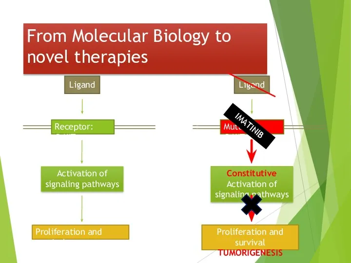 From Molecular Biology to novel therapies IMATINIB