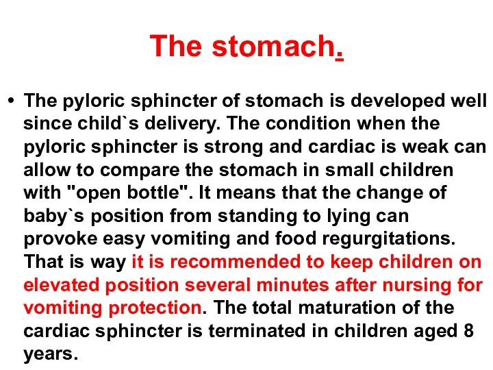 The stomach. The pyloric sphincter of stomach is developed well