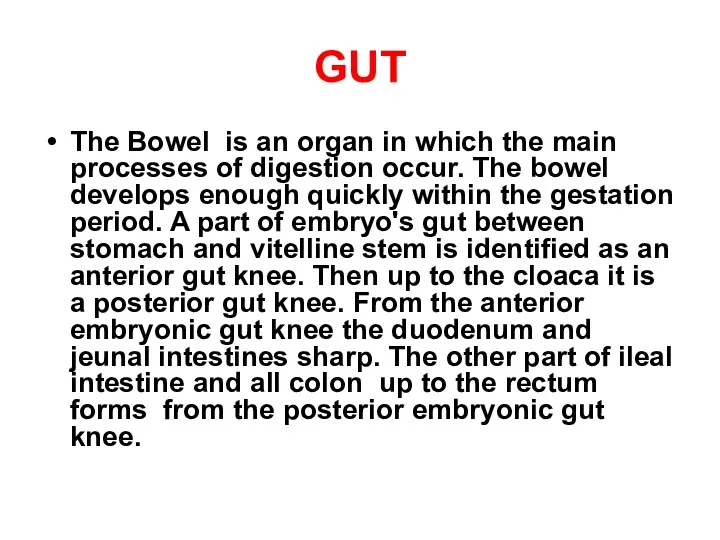 GUT The Bowel is an organ in which the main