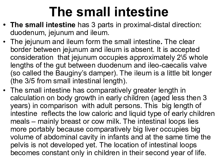 The small intestine The small intestine has 3 parts in