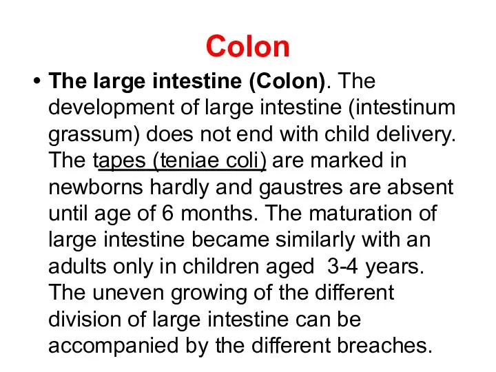 Colon The large intestine (Colon). The development of large intestine