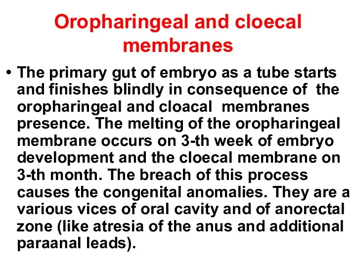 Oropharingeal and cloecal membranes The primary gut of embryo as