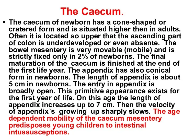 The Caecum. The caecum of newborn has a cone-shaped or