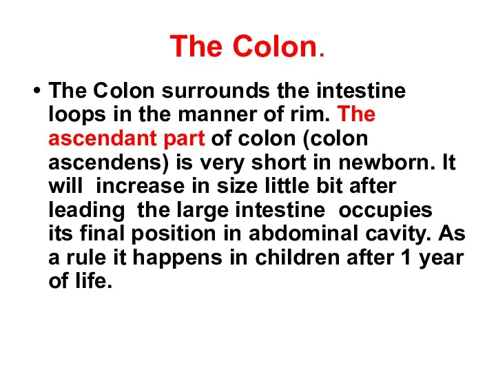 The Colon. The Colon surrounds the intestine loops in the