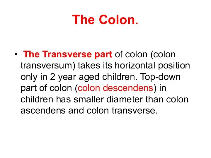 The Colon. The Transverse part of colon (colon transversum) takes