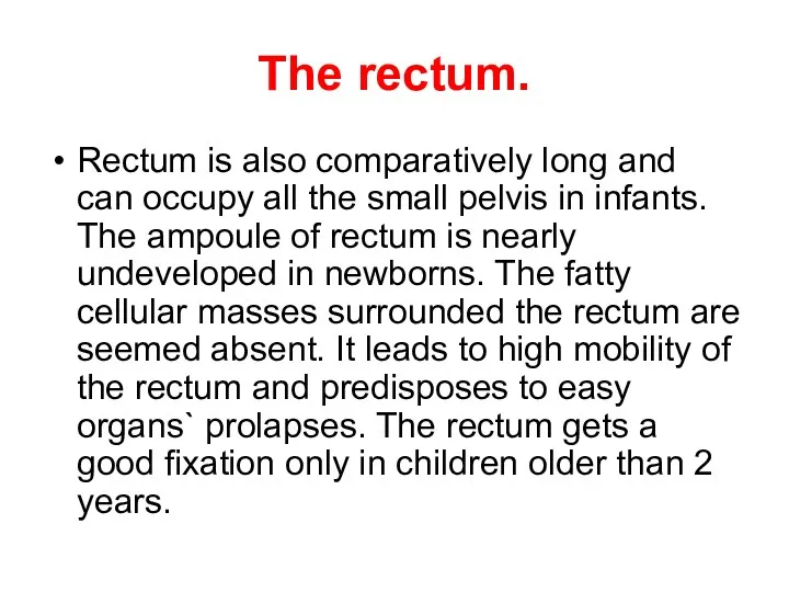 The rectum. Reсtum is also comparatively long and can occupy