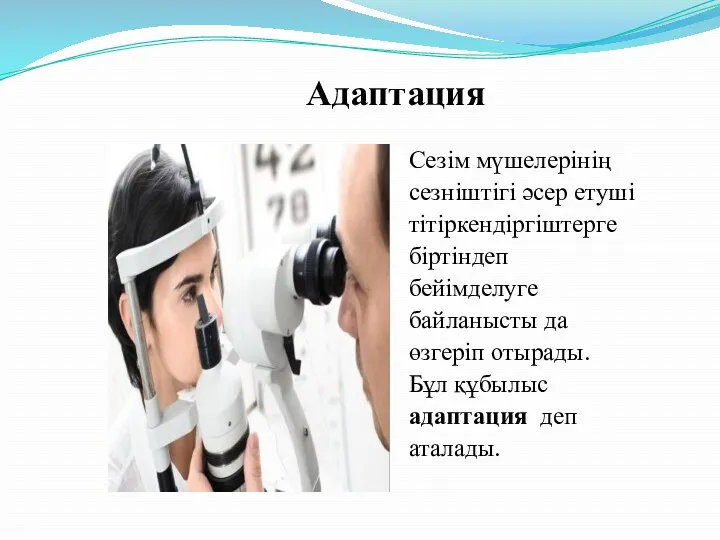 Адаптация Сезім мүшелерінің сезніштігі әсер етуші тітіркендіргіштерге біртіндеп бейімделуге байланысты