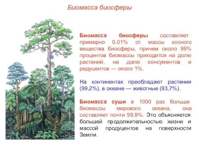 Биомасса биосферы Биомасса биосферы составляет примерно 0,01% от массы косного