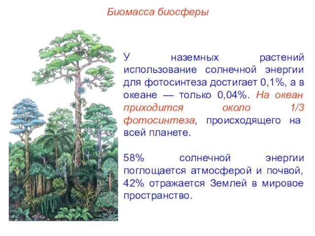 Биомасса биосферы У наземных растений использование солнечной энергии для фотосинтеза