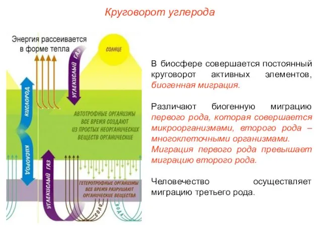 В биосфере совершается постоянный круговорот активных элементов, биогенная миграция. Различают