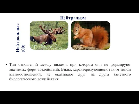 Нейтральные (00) Тип отношений между видами, при котором они не формируют значимых форм