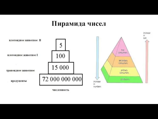 Пирамида чисел