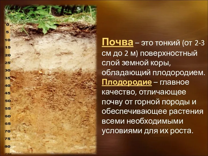 Почва – это тонкий (от 2-3 см до 2 м) поверхностный слой земной