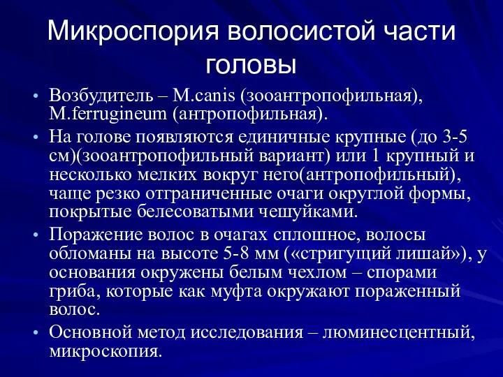 Микроспория волосистой части головы Возбудитель – M.canis (зооантропофильная), M.ferrugineum (антропофильная).