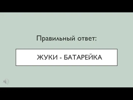 ЖУКИ - БАТАРЕЙКА Правильный ответ: