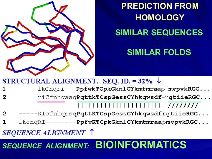 SEQUENCE ALIGNMENT: BIOINFORMATICS PREDICTION FROM HOMOLOGY SIMILAR SEQUENCES ?? SIMILAR FOLDS ______ __________________ _______