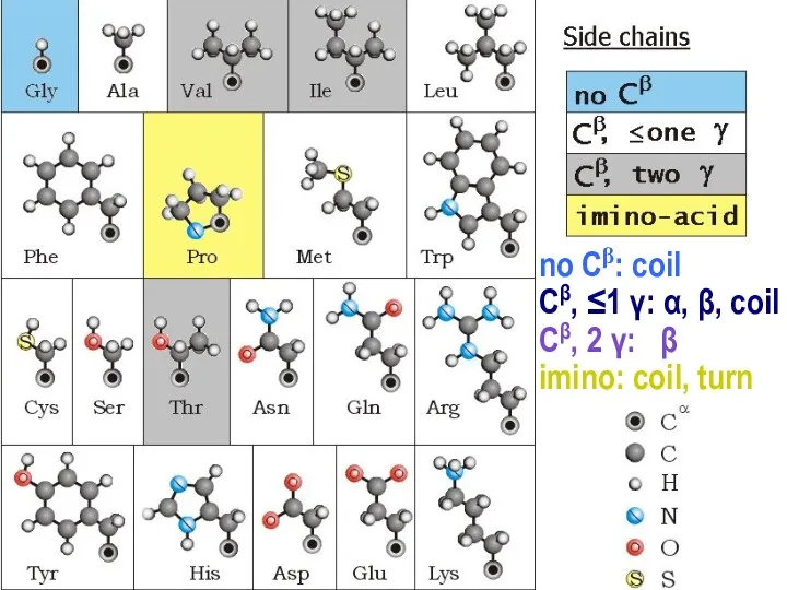 no Cβ: coil Сβ, ≤1 γ: α, β, coil Сβ, 2 γ: β imino: coil, turn