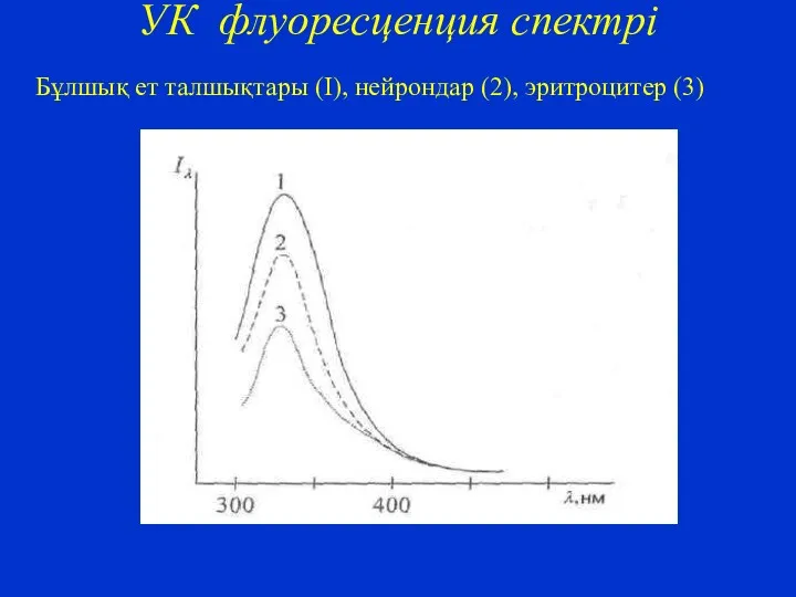 УК флуоресценция спектрі Бұлшық ет талшықтары (I), нейрондар (2), эритроцитер (3)