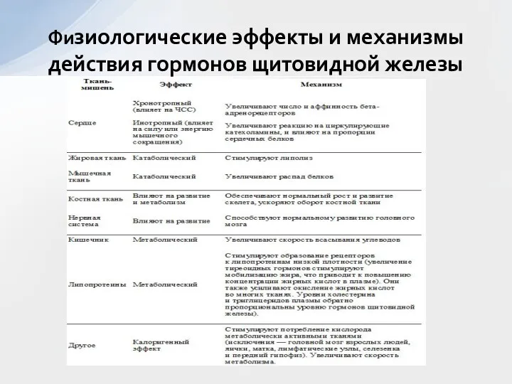 Физиологические эффекты и механизмы действия гормонов щитовидной железы