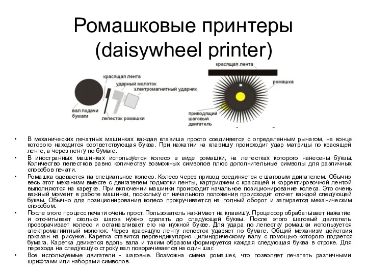 Ромашковые принтеры (daisywheel printer) В механических печатных машинках каждая клавиша