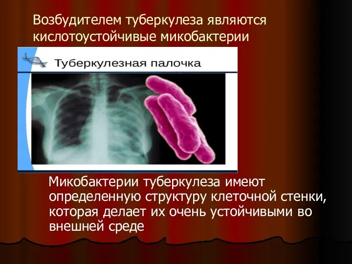 Возбудителем туберкулеза являются кислотоустойчивые микобактерии Микобактерии туберкулеза имеют определенную структуру