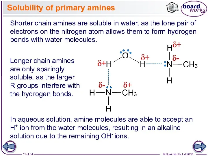 Solubility of primary amines Longer chain amines are only sparingly