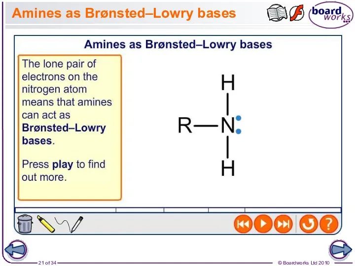 Amines as Brønsted–Lowry bases