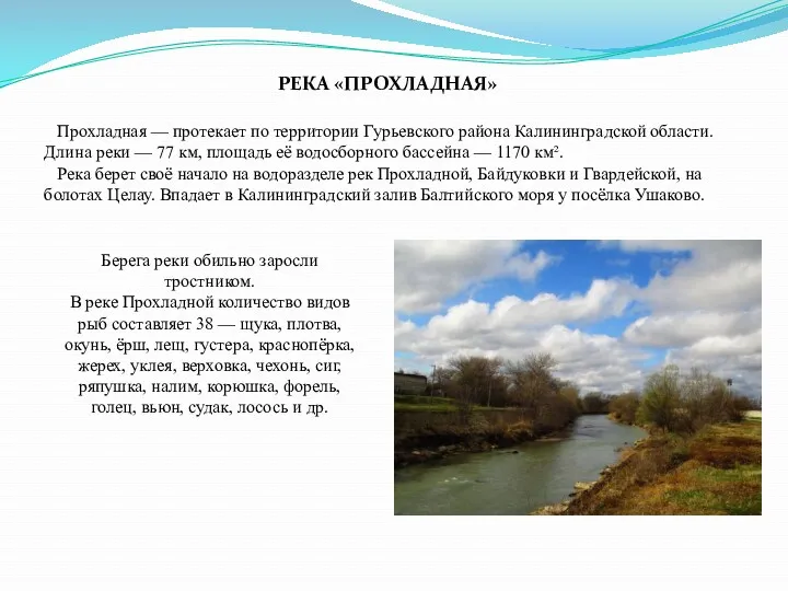 Прохладная — протекает по территории Гурьевского района Калининградской области. Длина