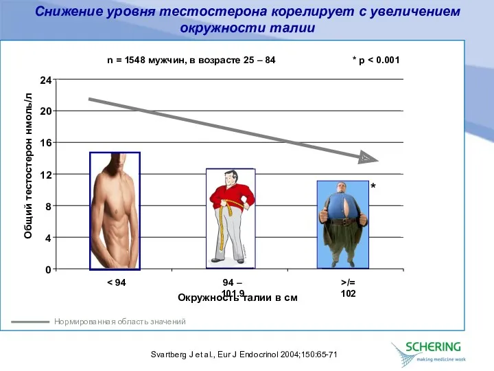 Нормированная область значений Svartberg J et al., Eur J Endocrinol