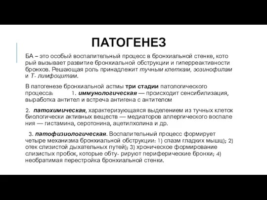 ПАТОГЕНЕЗ БА – это особый воспалительный процесс в бронхиальной стенке,