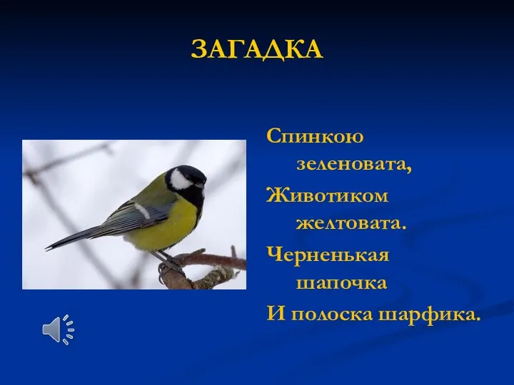 ЗАГАДКА Спинкою зеленовата, Животиком желтовата. Черненькая шапочка И полоска шарфика.