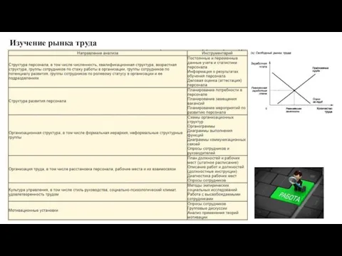 Изучение рынка труда