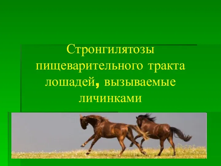 Стронгилятозы пищеварительного тракта лошадей, вызываемые личинками