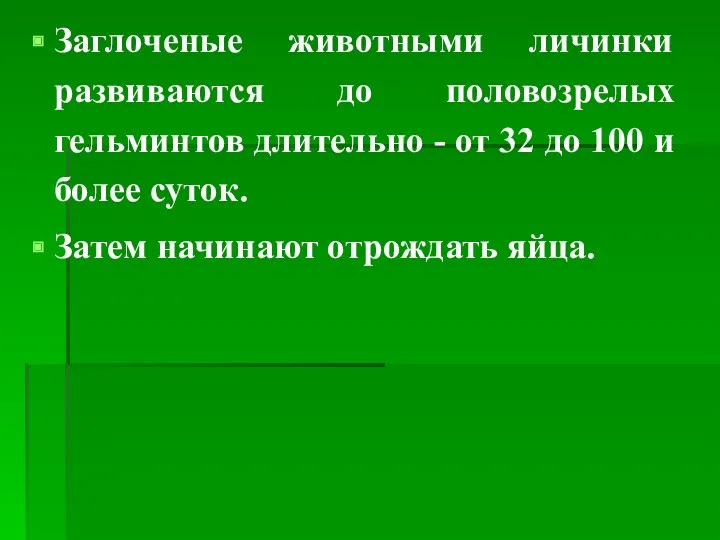 Заглоченые животными личинки развиваются до половозрелых гельминтов длительно - от