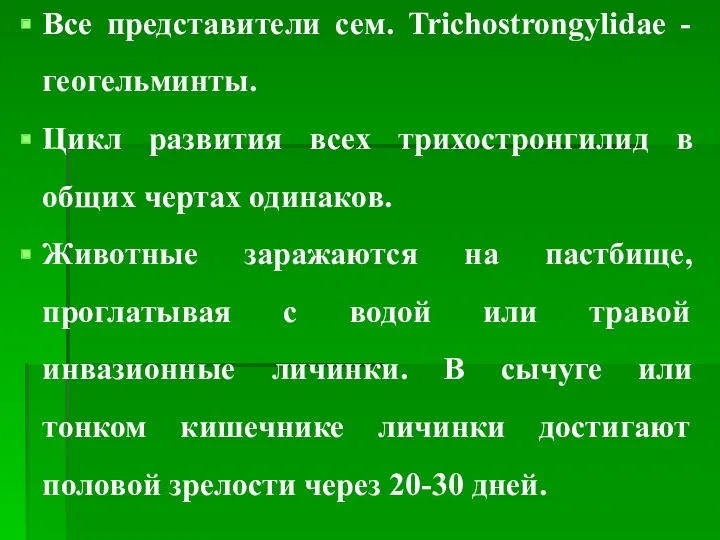 Все представители сем. Trichostrongylidae - геогельминты. Цикл развития всех трихостронгилид