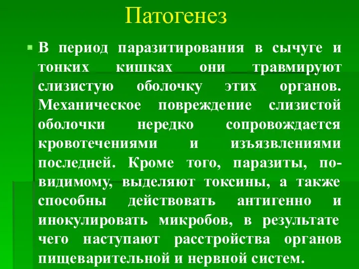 Патогенез В период паразитирования в сычуге и тонких кишках они