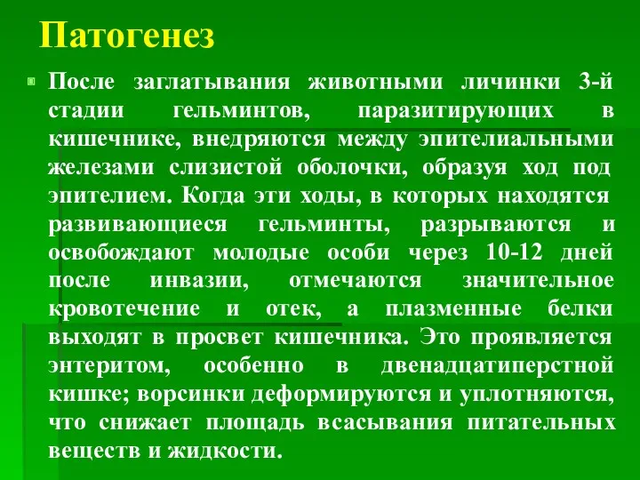 Патогенез После заглатывания животными личинки 3-й стадии гельминтов, паразитирующих в