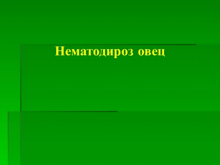 Нематодироз овец