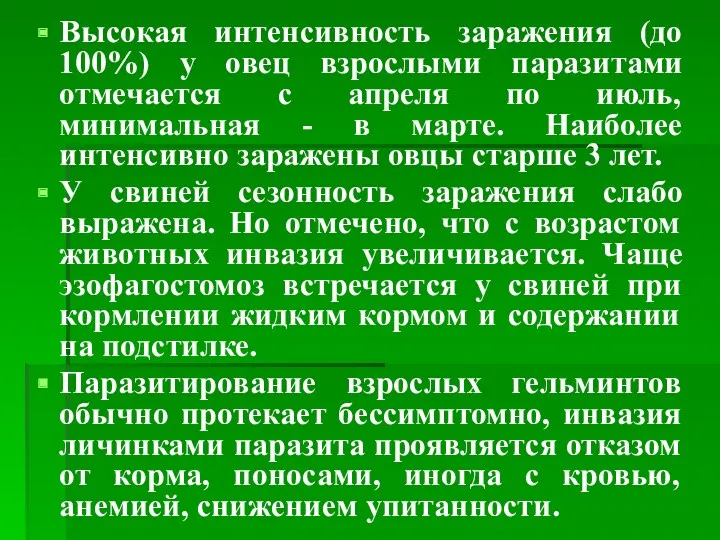 Высокая интенсивность заражения (до 100%) у овец взрослыми паразитами отмечается