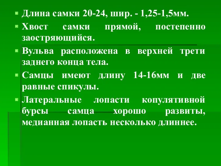 Длина самки 20-24, шир. - 1,25-1,5мм. Хвост самки прямой, постепенно