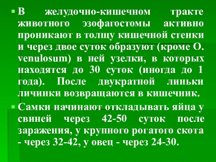 В желудочно-кишечном тракте животного эзофагостомы активно проникают в толщу кишечной