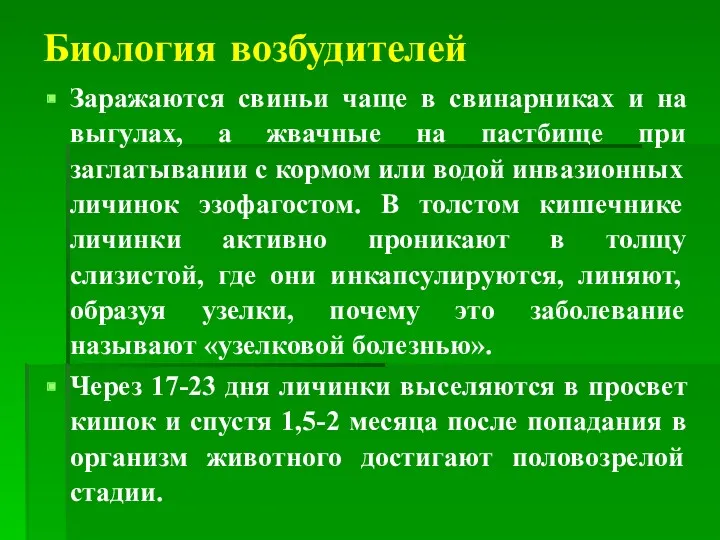 Биология возбудителей Заражаются свиньи чаще в свинарниках и на выгулах,