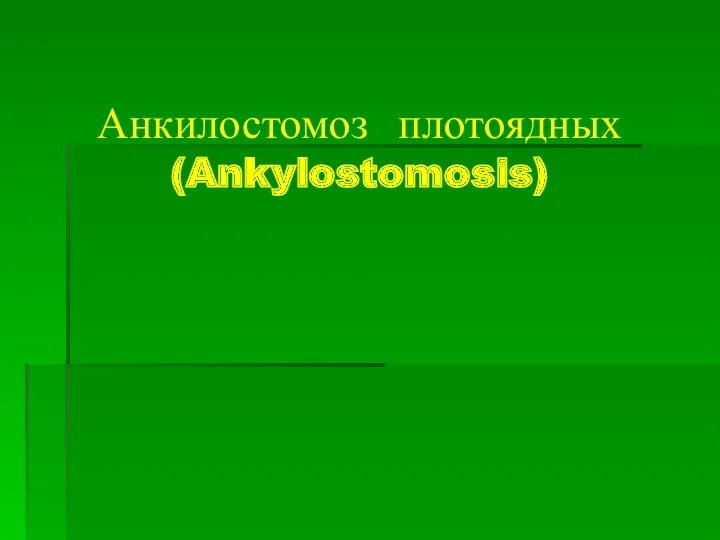Анкилостомоз плотоядных (Ankylostomosis)
