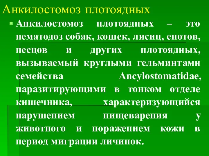 Анкилостомоз плотоядных Анкилостомоз плотоядных – это нематодоз собак, кошек, лисиц,