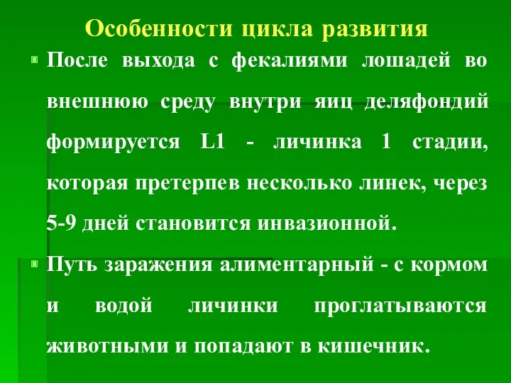 Особенности цикла развития После выхода с фекалиями лошадей во внешнюю