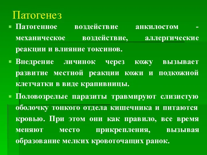 Патогенез Патогенное воздействие анкилостом - механическое воздействие, аллергические реакции и