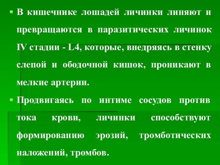 В кишечнике лошадей личинки линяют и превращаются в паразитических личинок